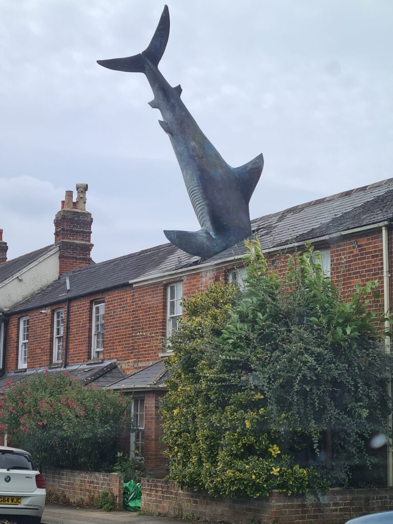 shark in house roof in Oxford British humour