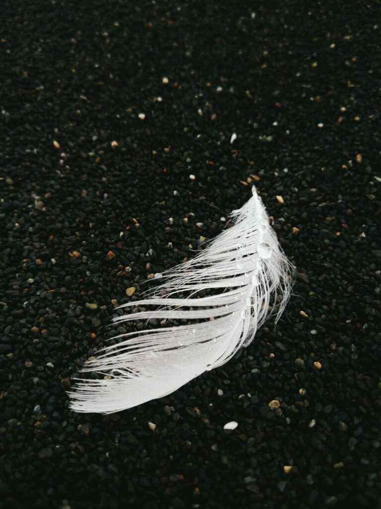 lonely feather counter culture