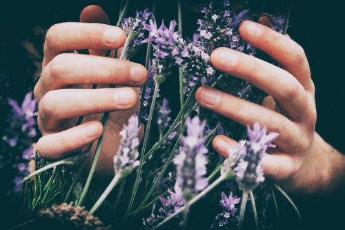 hands caring around flowers