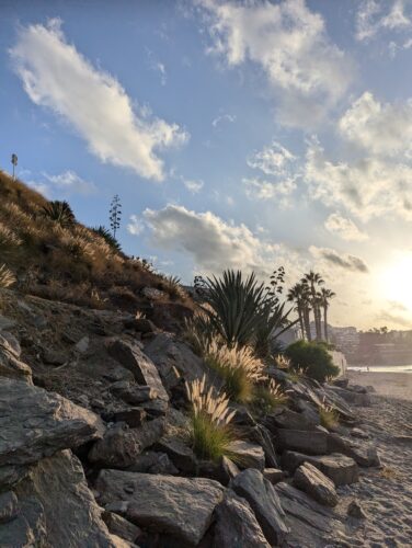 fuengirola coast quiet peaceful sunshine, beach and palm trees and rocks midlife women crossroads coach emma thorne lees